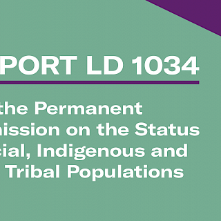 Permanent Commission on Status of Racial, Indigenous & Tribal Populations